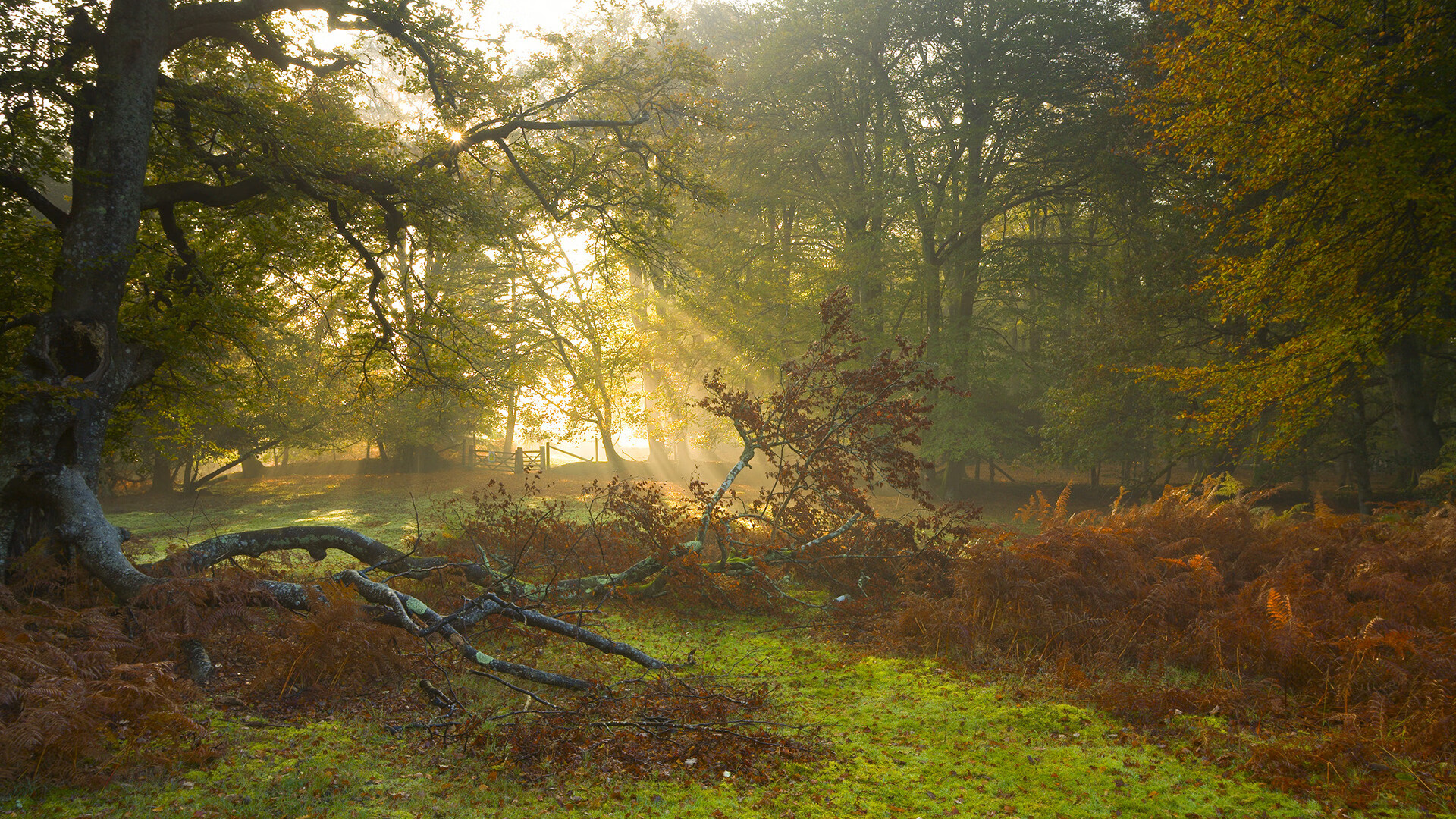爱游戏娱乐网址-《Faker：十年电竞生涯的低谷与高峰》，faker在电竞圈什么地位