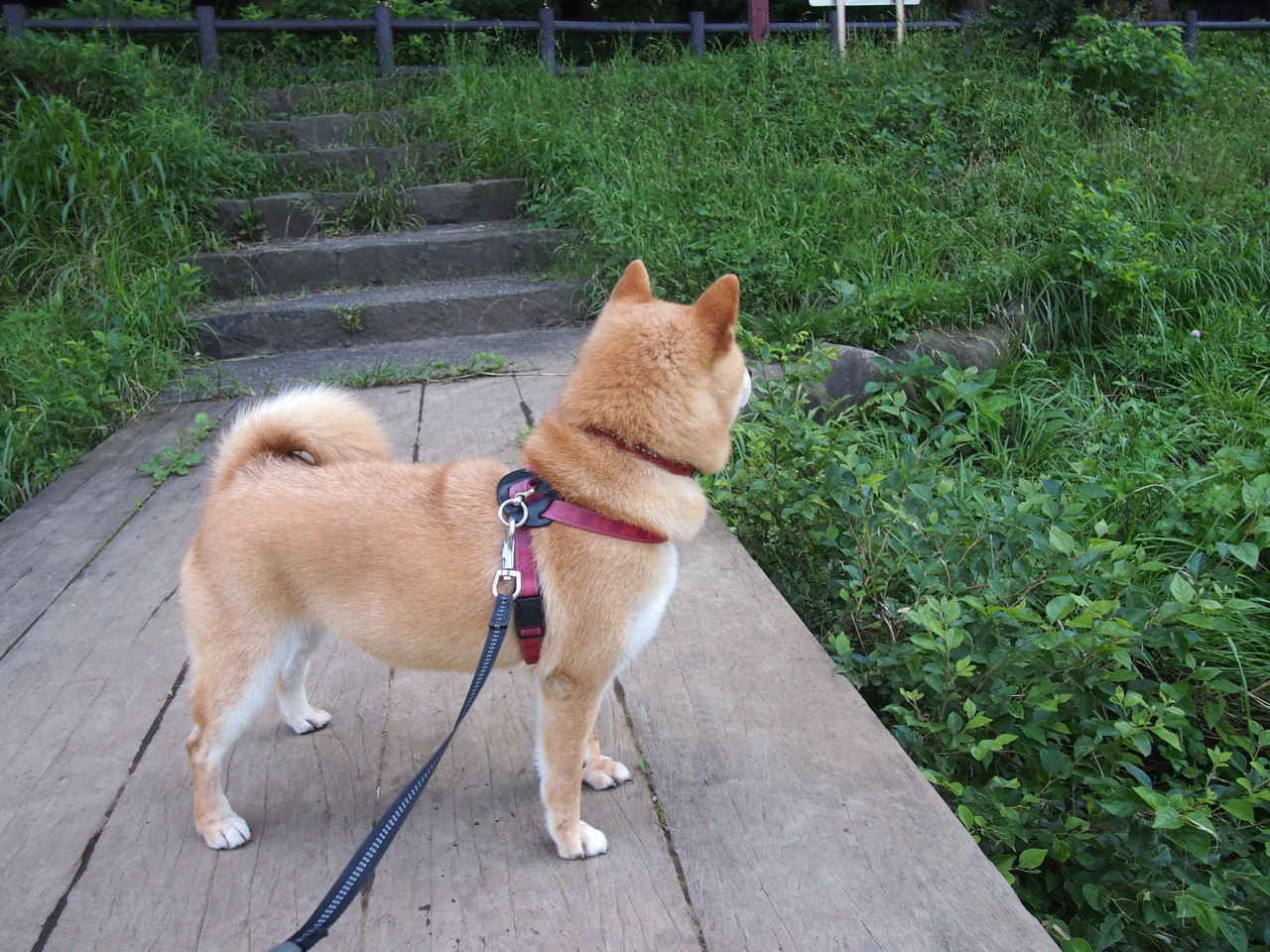 今年联盟助攻榜:最精彩的“神级传球”瞬间盘点!,lol助攻榜