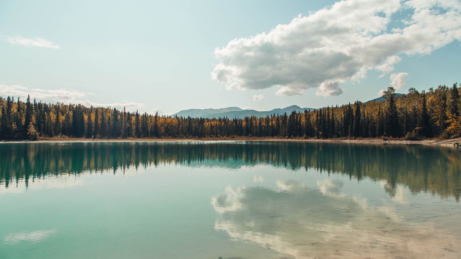 卫冕冠军广州队挑战新赛季目标,2025赛季展望,新赛季广州队新加入球员的名单