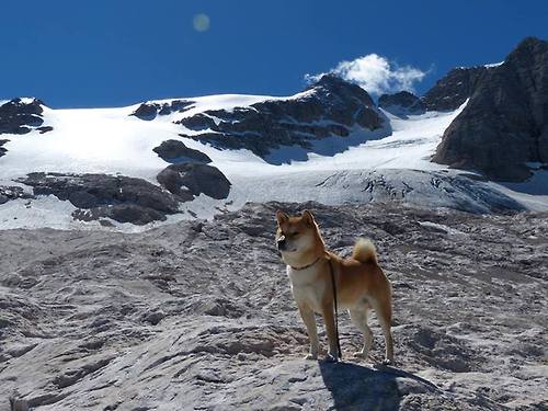 库里:从无名小卒到NBA历史三分王的逆袭人生,库里几次三分王
