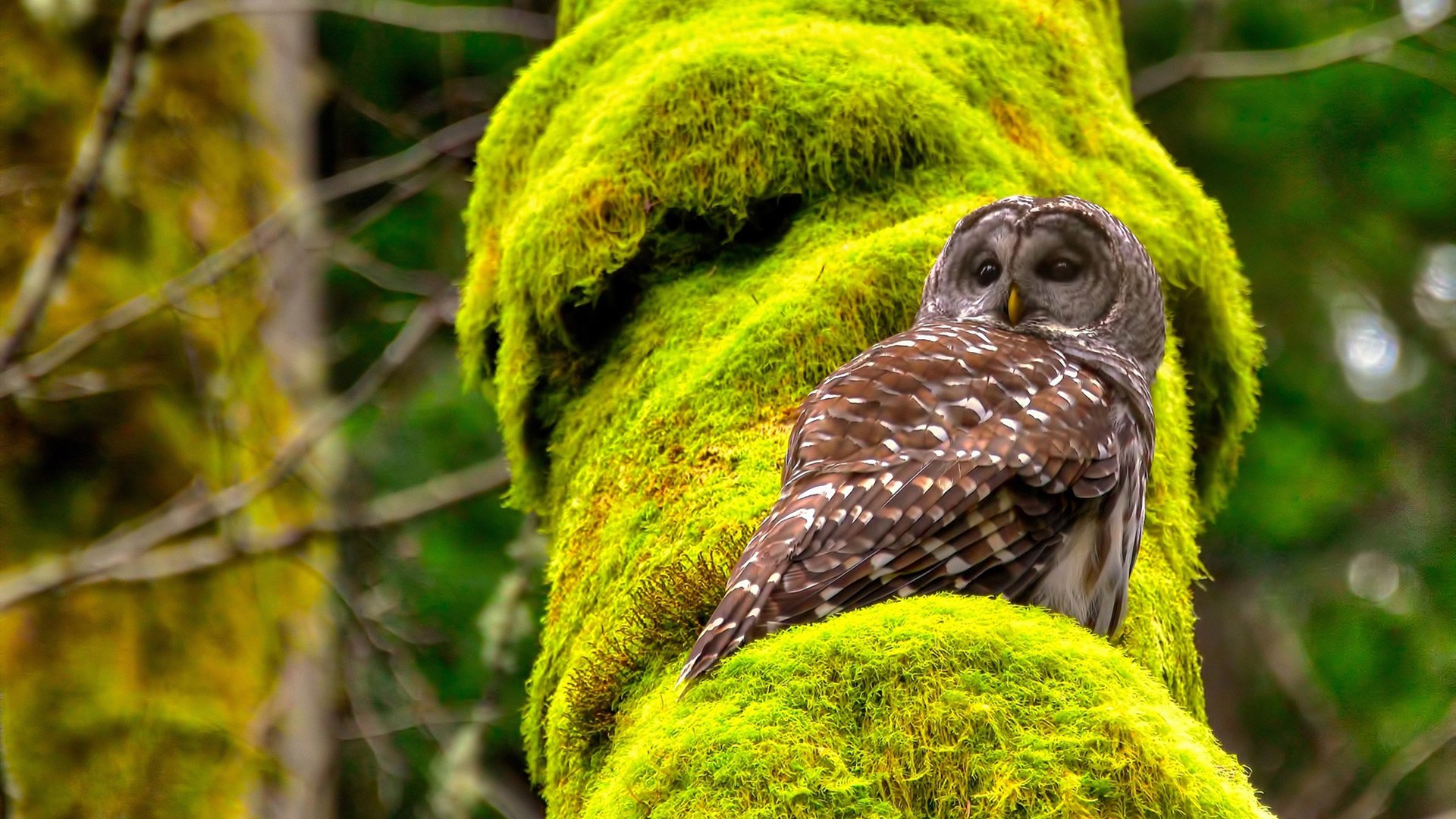 爱游戏中国官方网站平台-改革方案：提升比赛公平性的新措施研讨，如何保证比赛公平