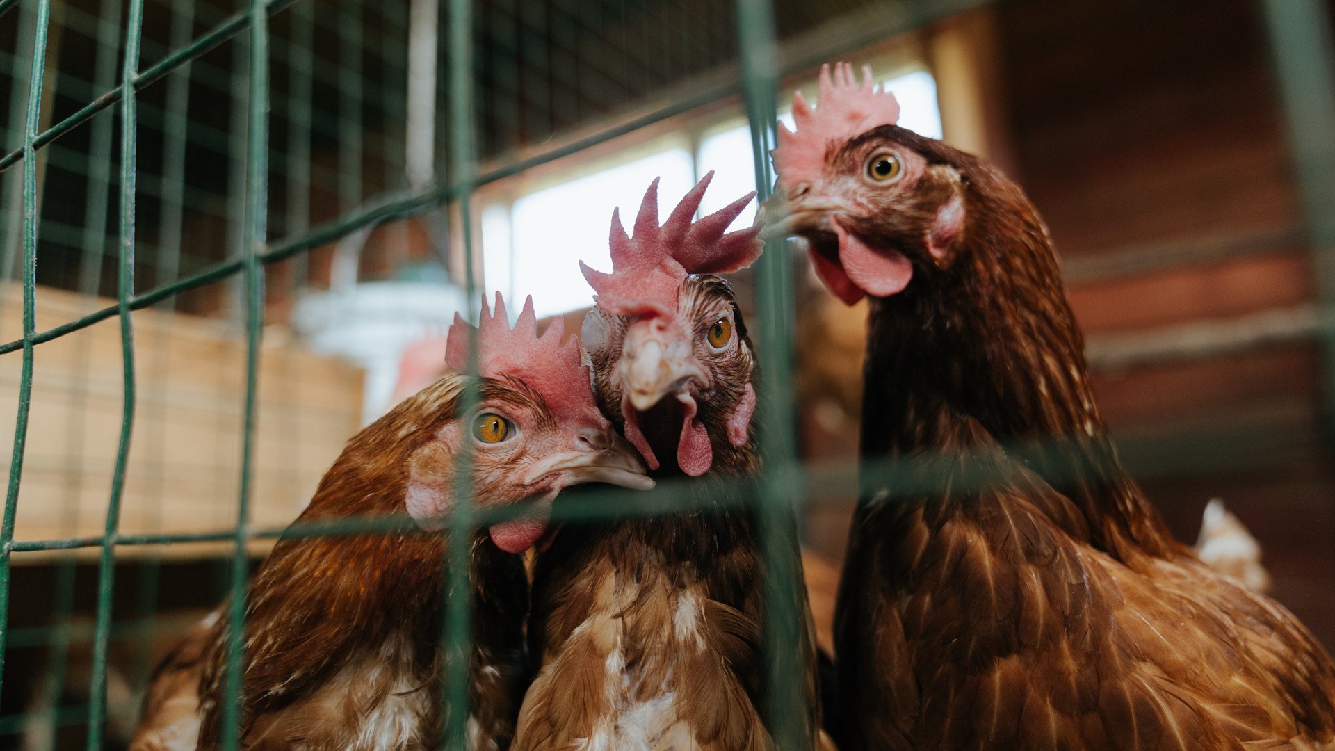 海边瑜伽体验日,放松身心的同时拥抱自然,海边瑜伽图片唯美高精度