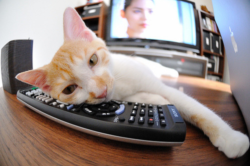 英超榜首之战:阿森纳失利,热刺反超登顶,英超 热刺 阿森纳