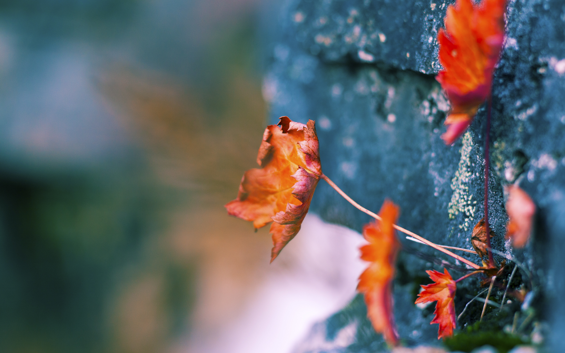 AYX体育官网-Faker参与国际电竞规则制定会议，faker参加了几届全球总决赛