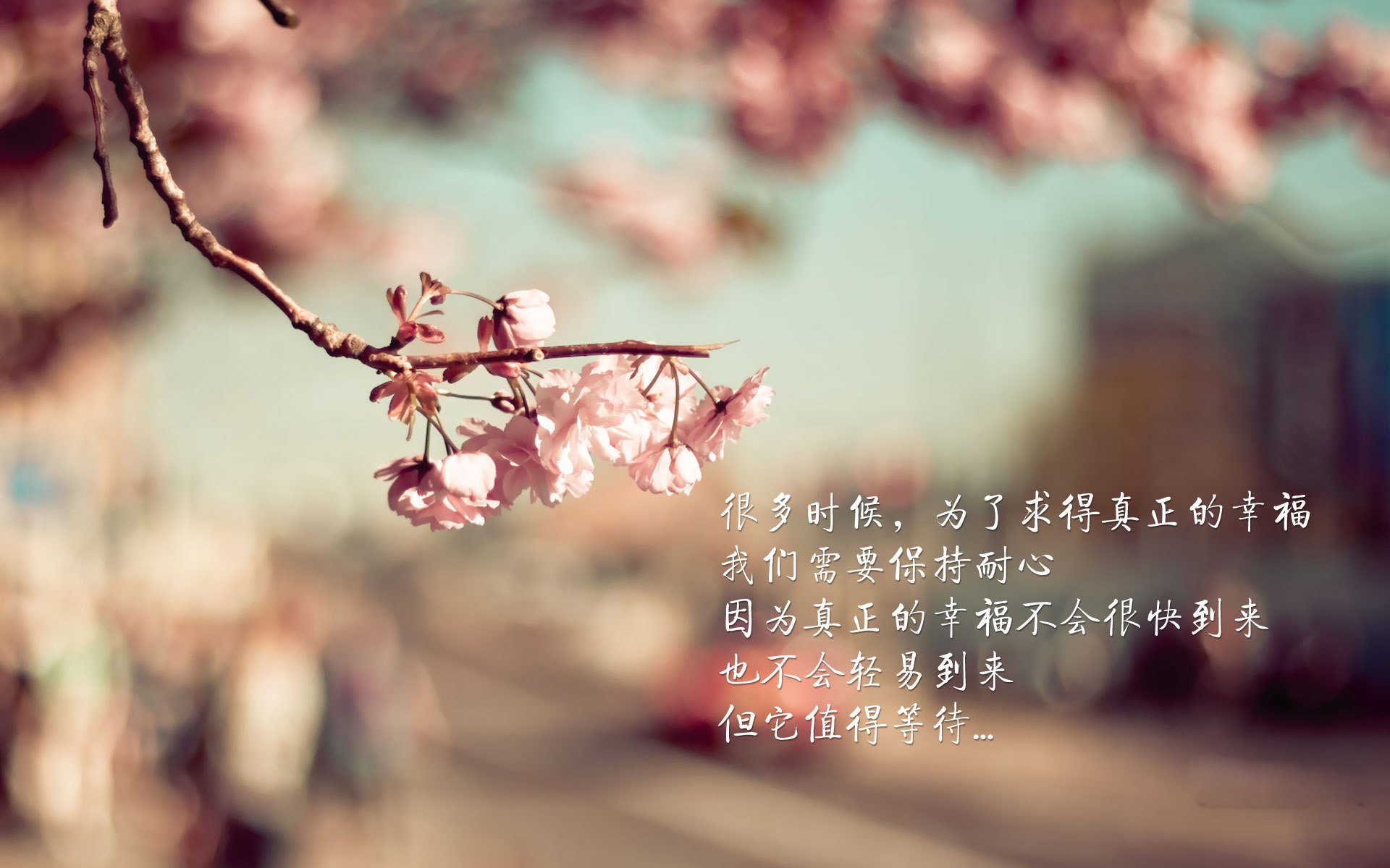 KPL战队训练营全力备战,kpl战队训练赛怎么打的