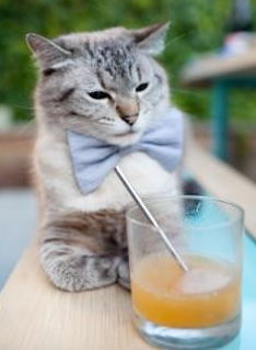 爱游戏体育-女足世界杯决赛即将打响，女足世界杯决赛比分