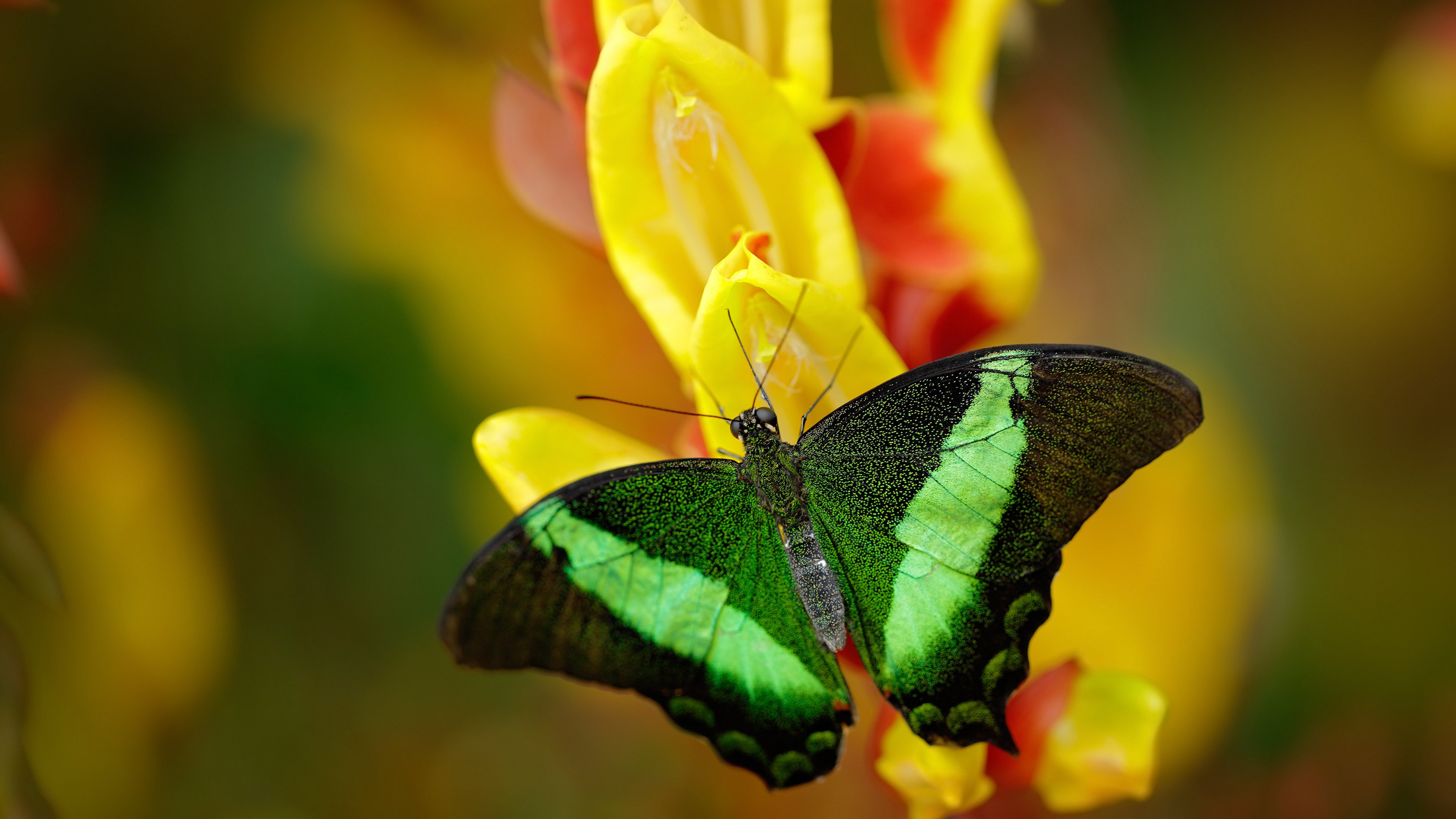 德国队在对马其顿的比赛中锁定下一轮晋级名额,世预赛德国对马其顿