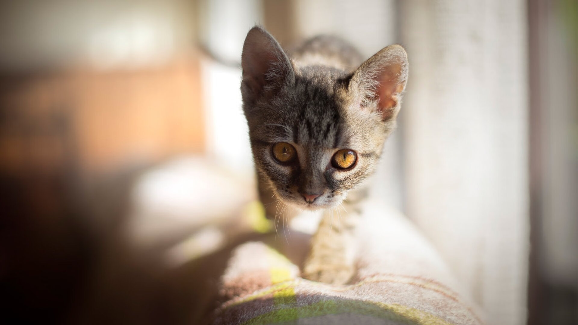 梅斯是否能完成保级目标,梅斯青训