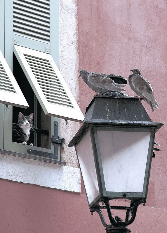 爱游戏官方网站-梅西为阿根廷队取得胜利豪言要夺冠，梅西为阿根廷国家队打进多少球