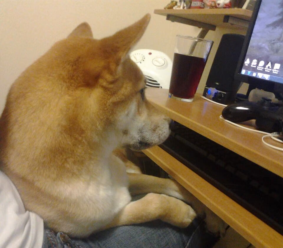 爱游戏体育-热血激战，球场上的荣誉之战即将打响，热血激战十足过瘾电影名字