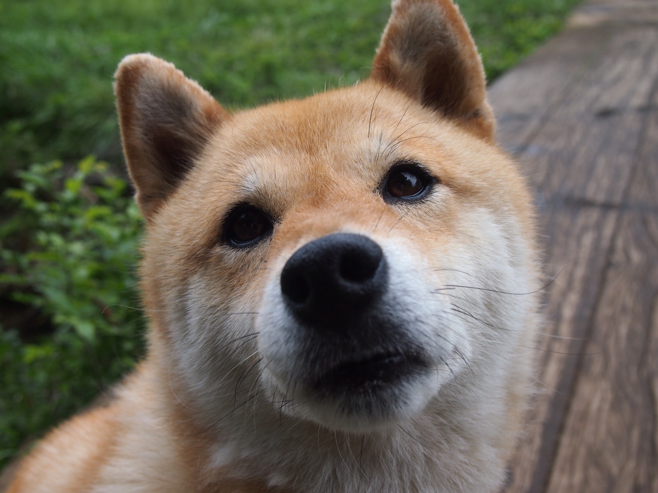 爱游戏官网-红红火火！中国女足欧洲挑战赛，意大利强势对阵，中国一意大利女足直播视频