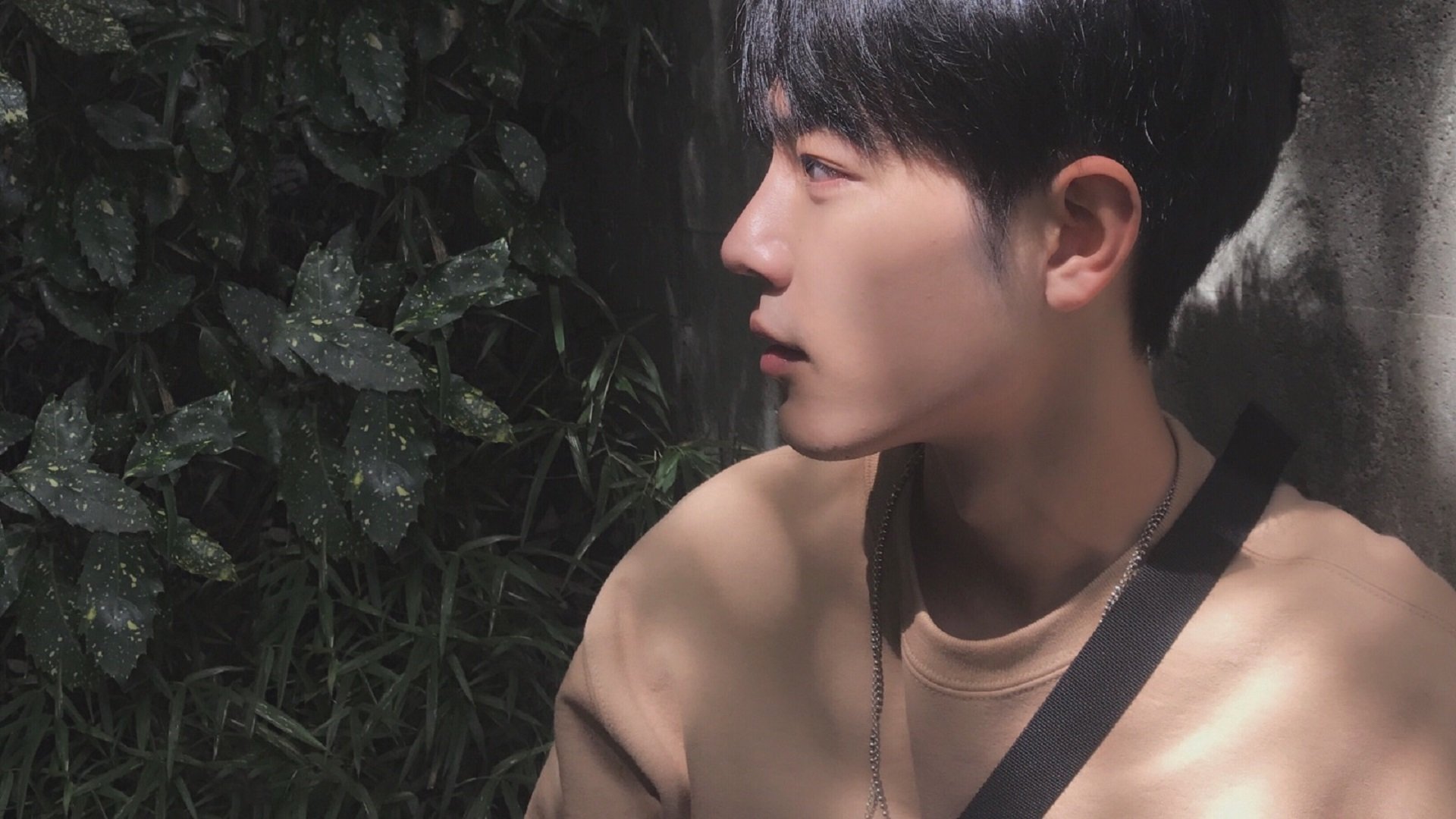 中国篮球运动员专项体能训练方案个性化设计与效果评估,篮球运动员体能训练的内容有哪些