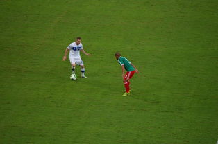 爱游戏体育官方网站-中国足球对抗频次与伤病风险相关性，足球 对抗