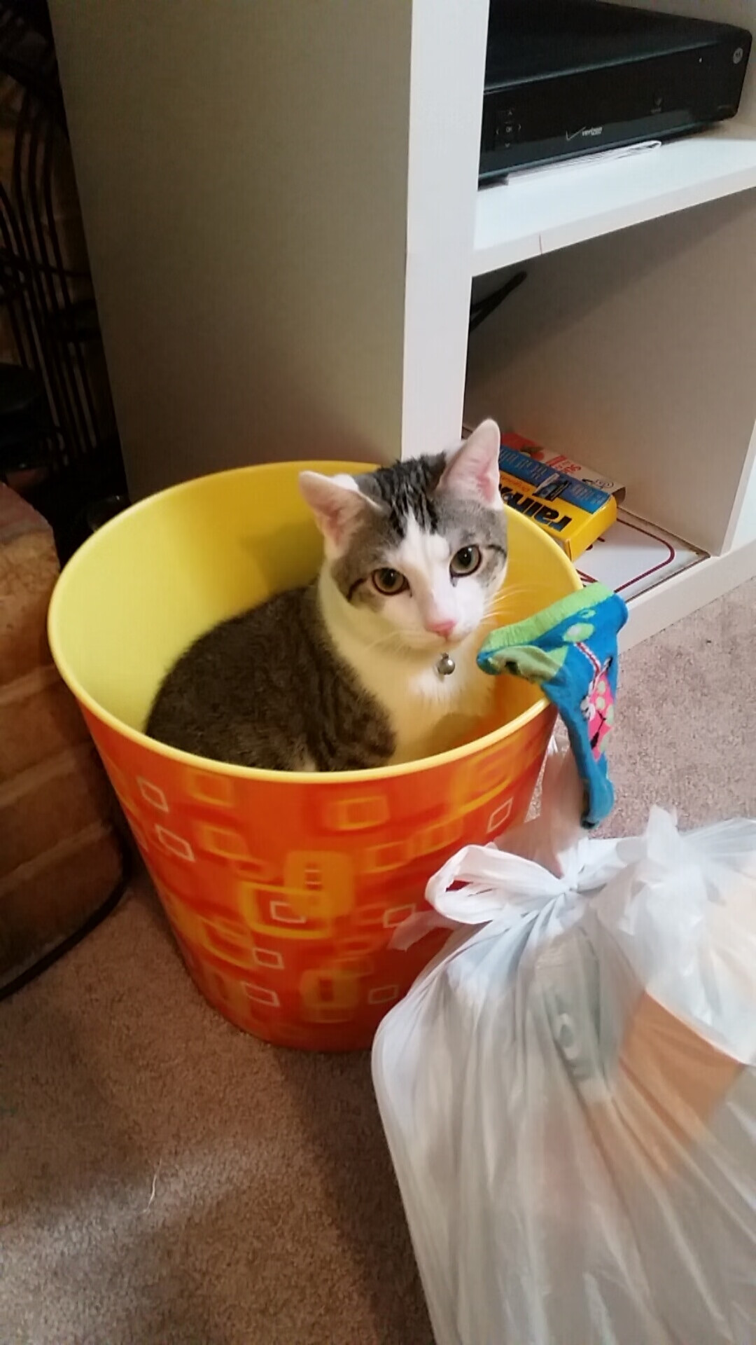 全国青少年接力赛在上海激烈展开,接力赛决赛