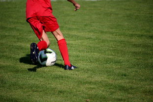 爱游戏体育app-篮球运动员心理韧性培养及心理干预体系建设，篮球运动员心理素质的重要性