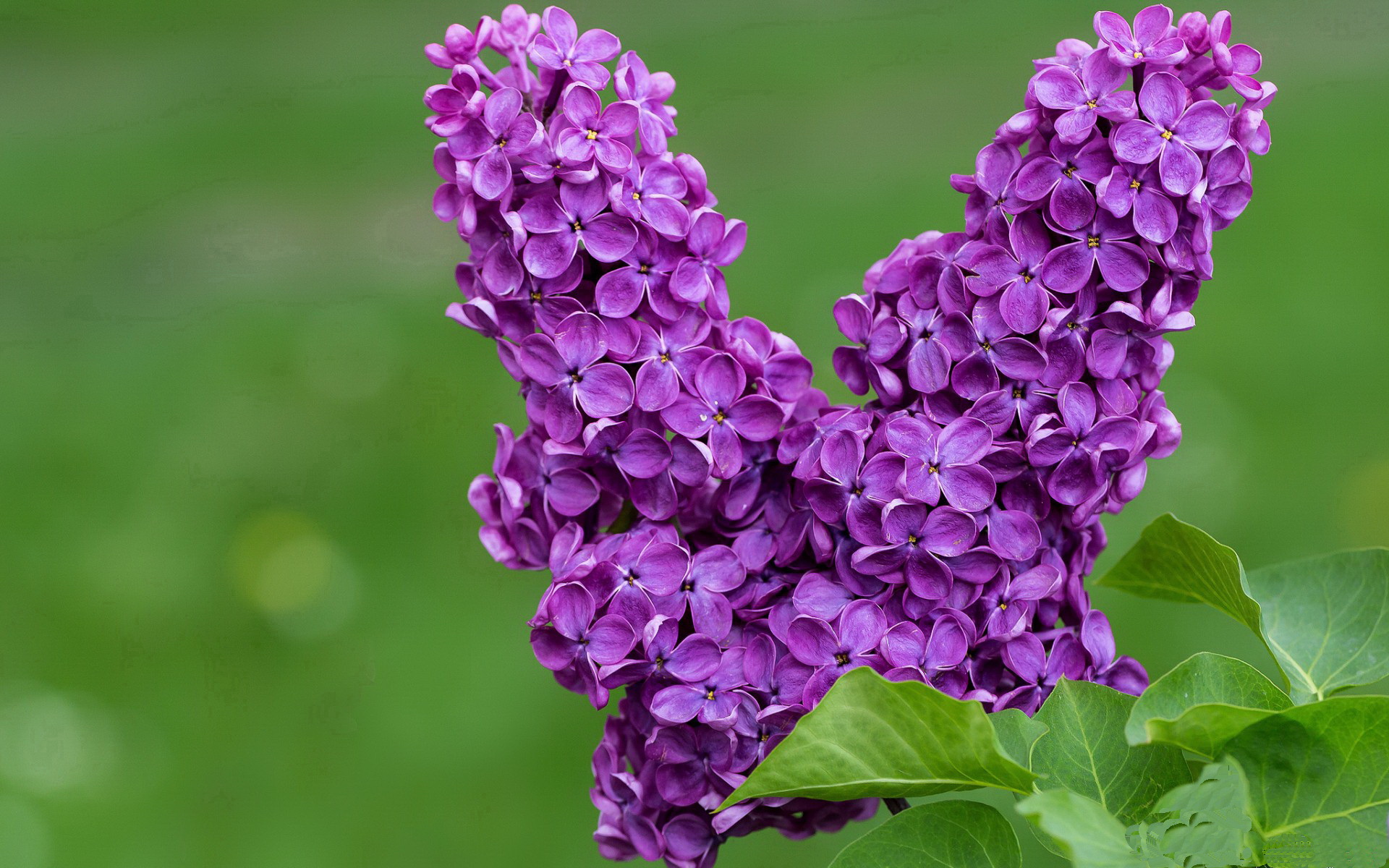 出发段水下推进长度决定优势区间,水下推进方式