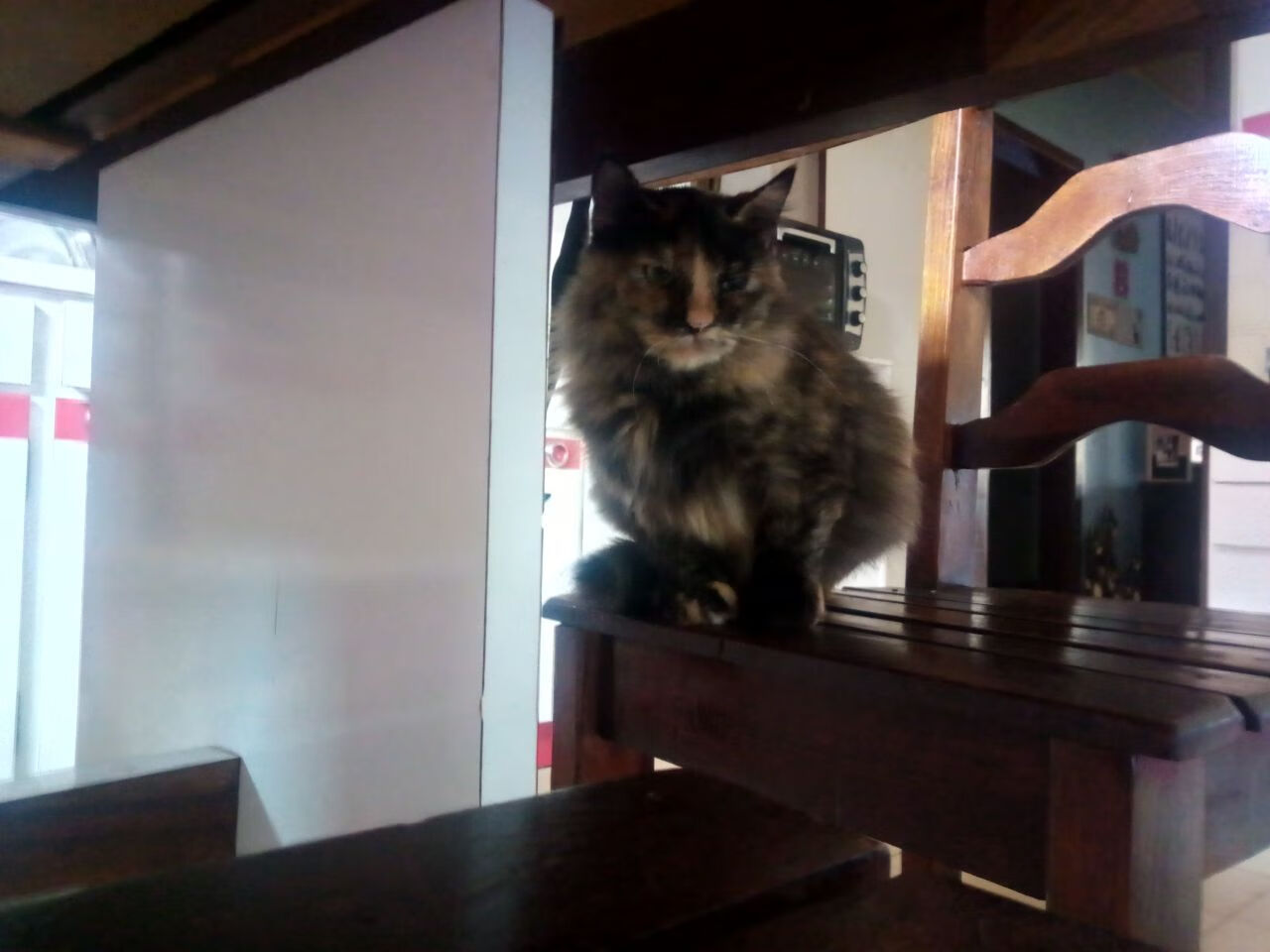 AYX GAME-篮球公益活动拉动超 140 人参与社区环保行动，篮球公益活动方案