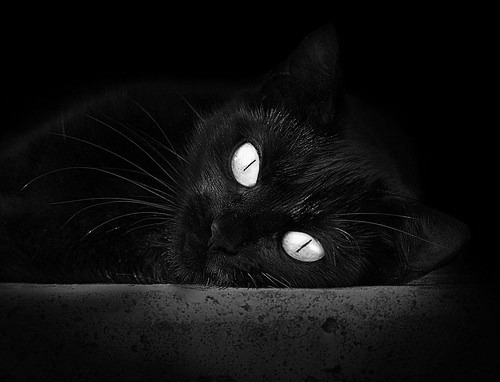 AIYOUXI.COM-自由泳长距离突尼斯展现耐力，自由泳 突尼斯