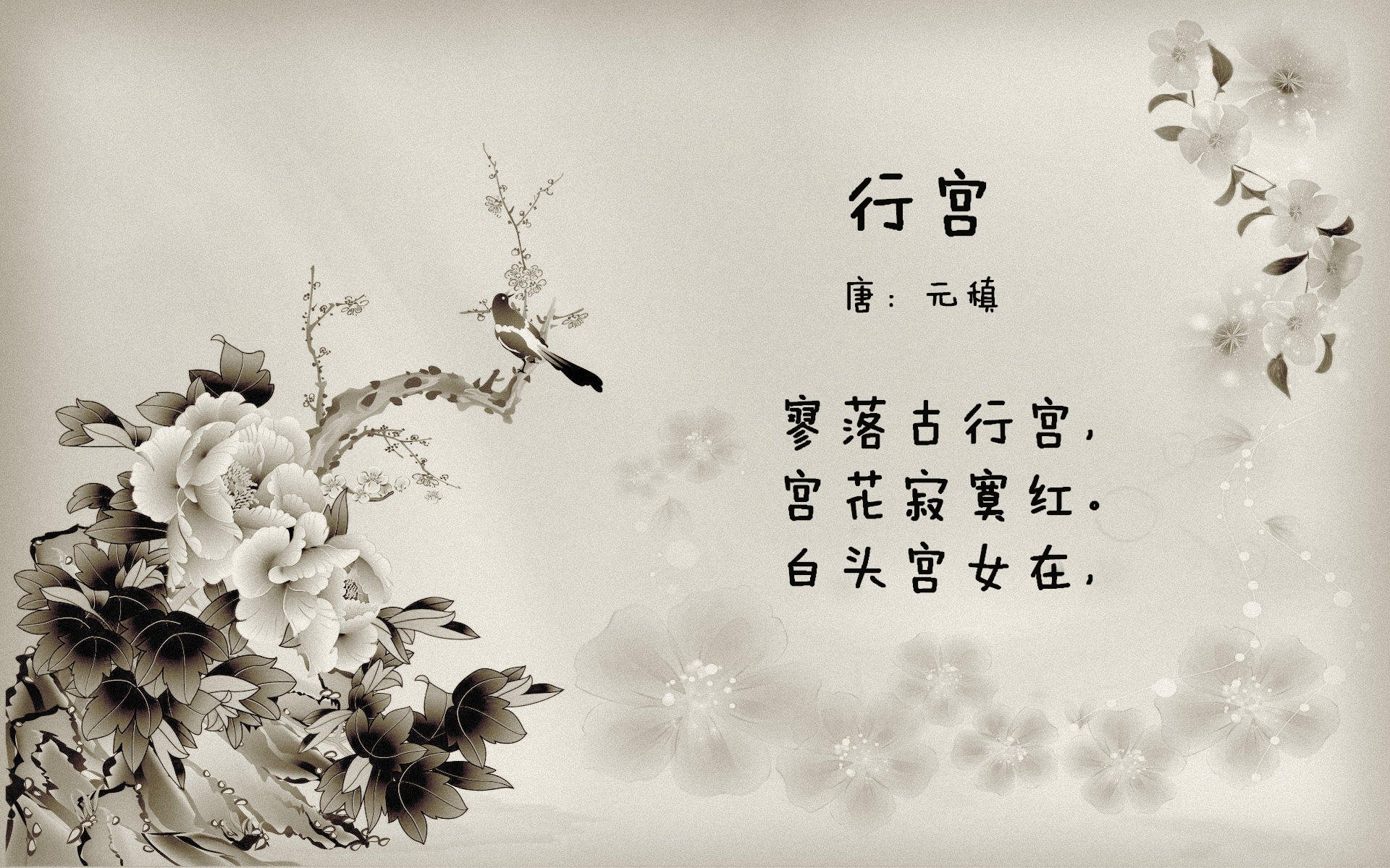 爱游戏体育（AYX）官方APP下载-黄蜂公布球员个人训练数据引球迷关注，黄蜂有哪些球员